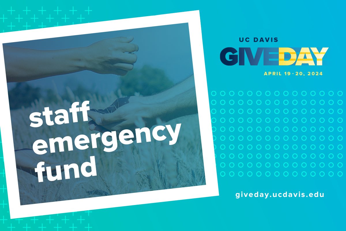 This Give Day, give to the Staff Emergency Fund