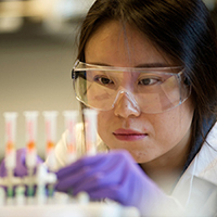 "one scientist viewing test tubes"