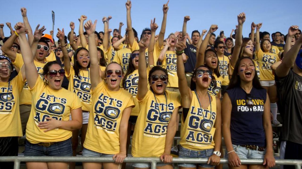 photo of Aggies in bleachers and matching yellow t-shirts cheering in unison.