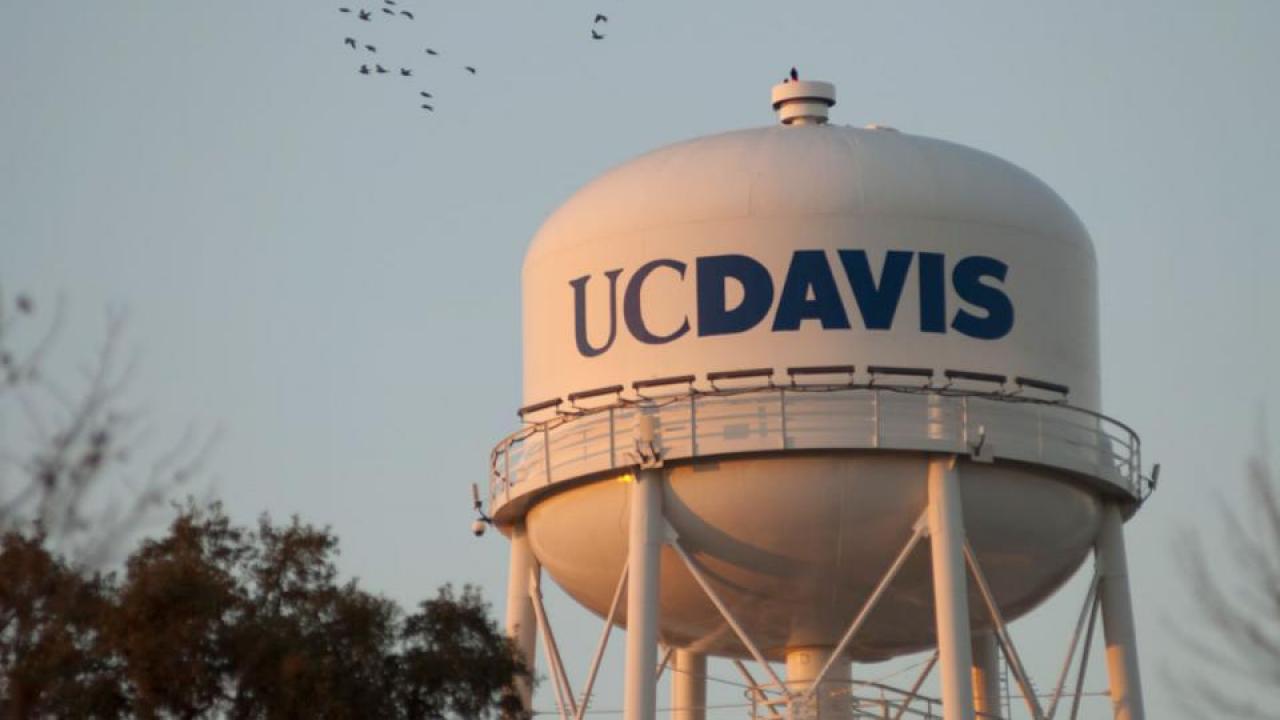 main UC Davis water tower with birds flying in background.