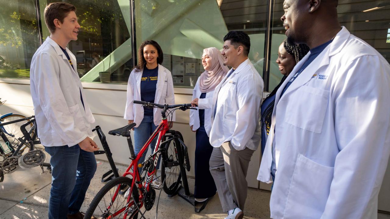 Male and female students are gathered having a conversation outside.  They are standing next to a bike.  