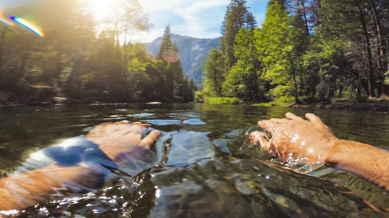 Person leisurely swimming with picturesque scenery surrounding them, as the sun beams down on their arms and the trees smell like deep pine.