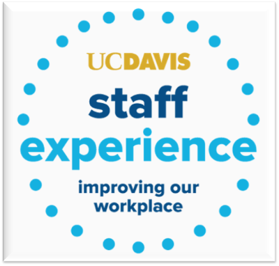 staff experience survey