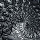 a swirled vortex 