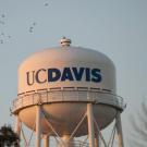 main UC Davis water tower with birds flying in background.