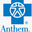 Anthem blue cross image