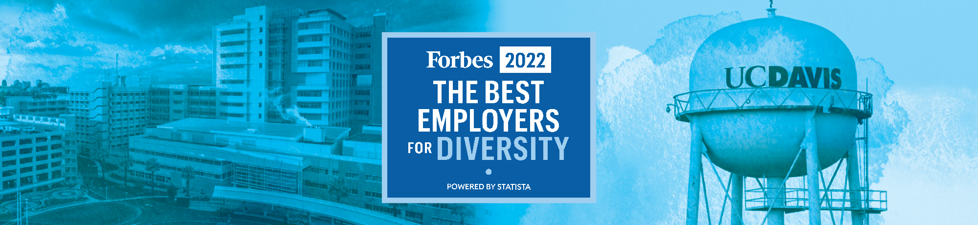 Forbes Best Employers for Diversity Banner 2022